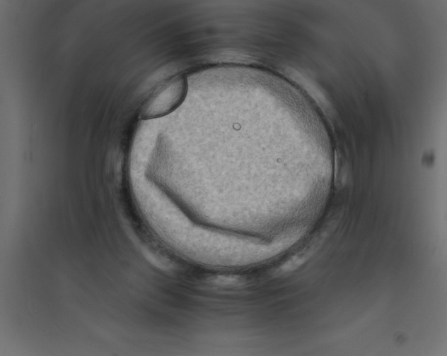 X0000094200157200711241645