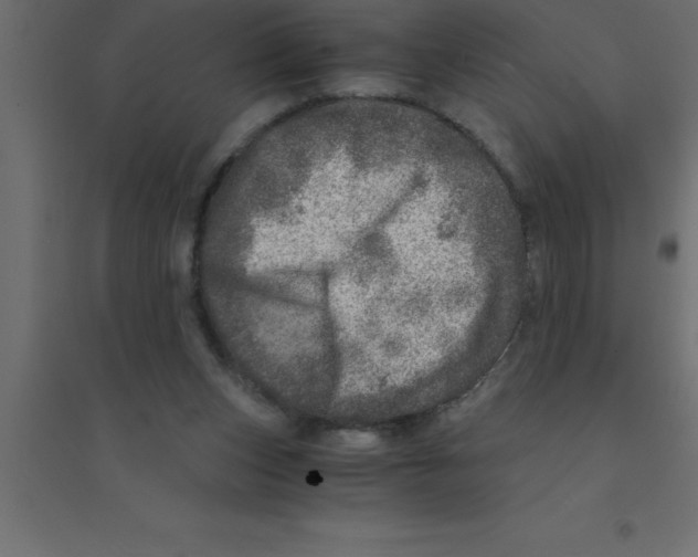 X0000094200159200711241645
