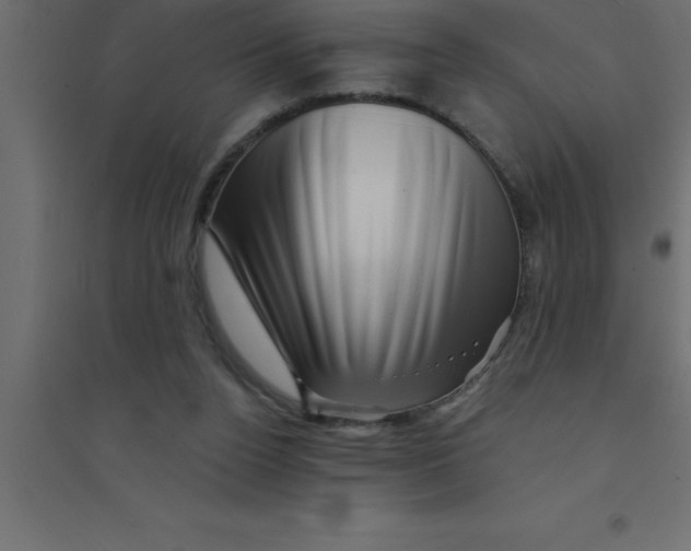 X0000094200160200711241645