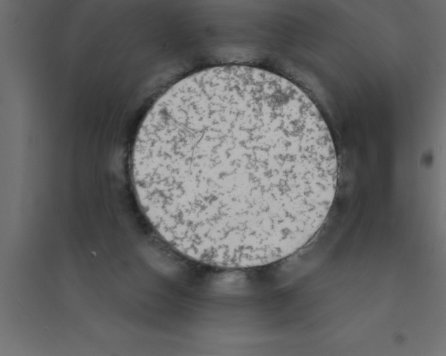 X0000094200162200711241645