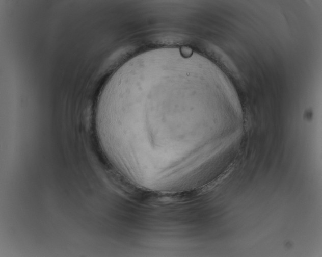 X0000094200163200711241645