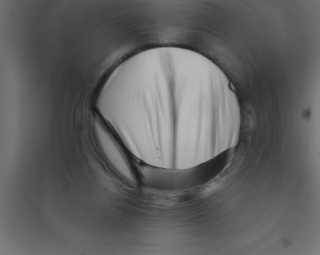 X0000094200164200711241645