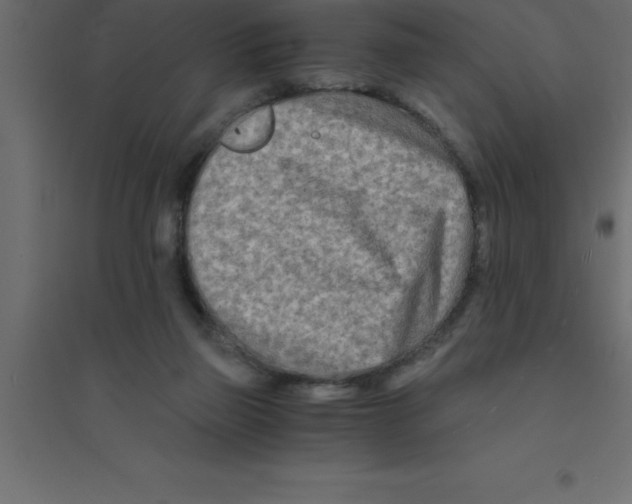 X0000094200165200711241645