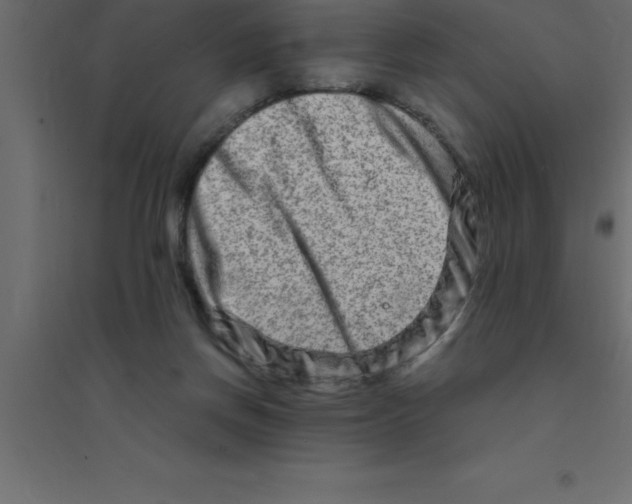 X0000094200166200711241645