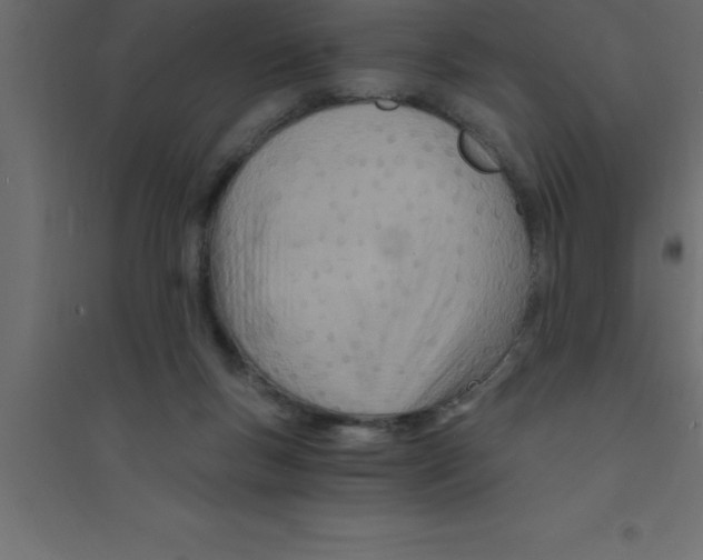 X0000094200167200711241645