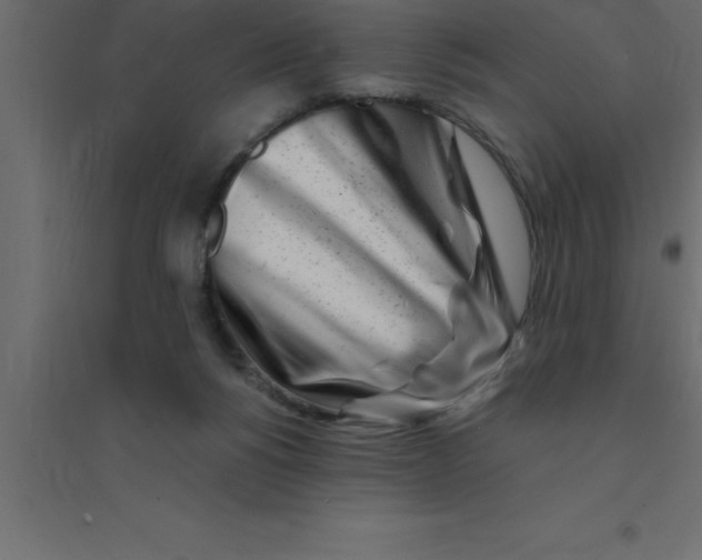 X0000094200168200711241645