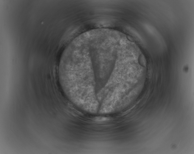 X0000094200169200711241645