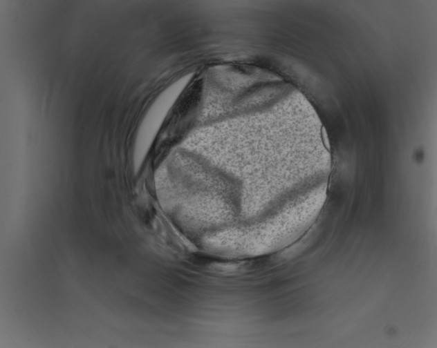 X0000094200170200711241645