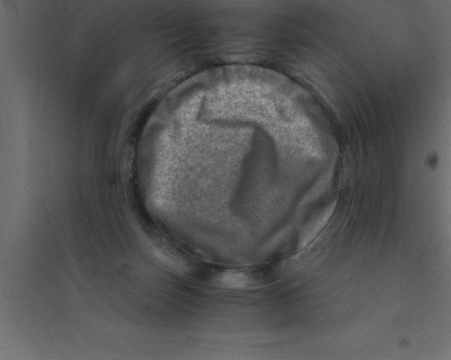 X0000094200171200711241645