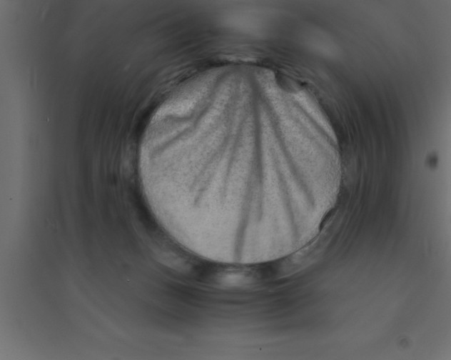 X0000094200175200711241645