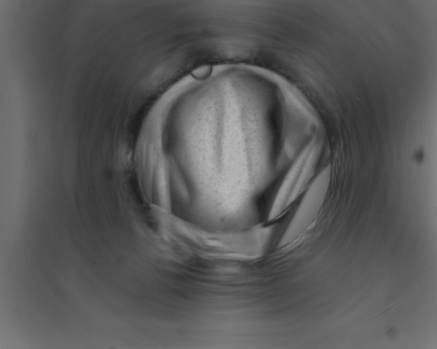 X0000094200176200711241645