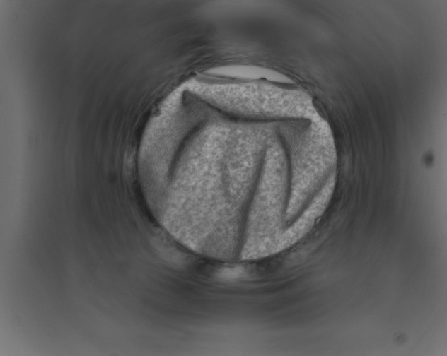X0000094200177200711241645