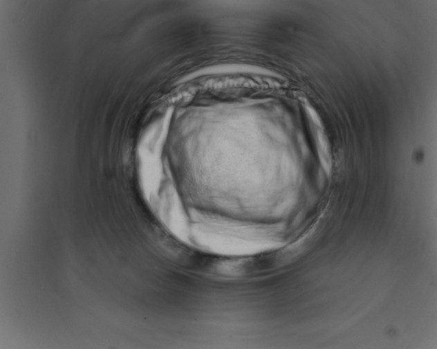 X0000094200178200711241645