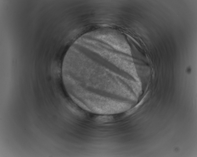 X0000094200179200711241645