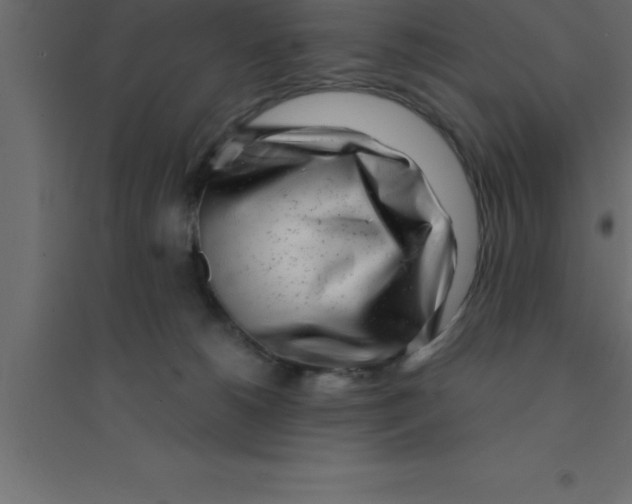 X0000094200180200711241645