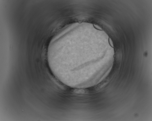 X0000094200181200711241645