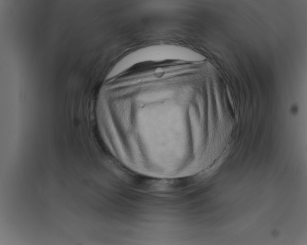 X0000094200182200711241645