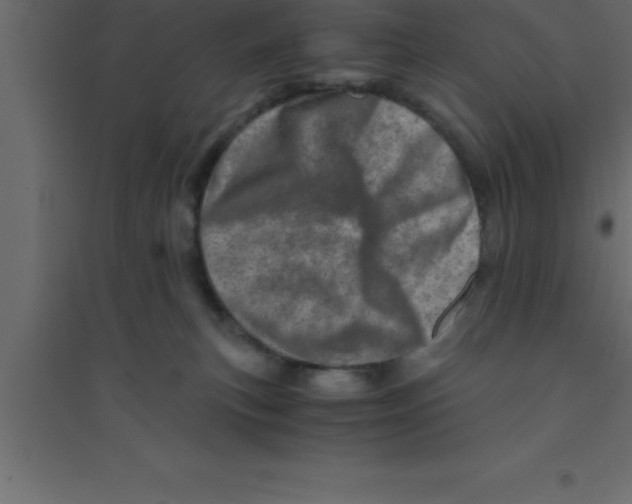 X0000094200183200711241645