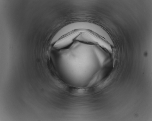 X0000094200184200711241645