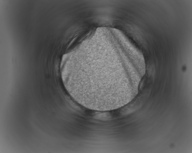X0000094200185200711241645