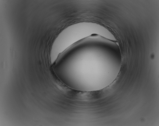 X0000094200186200711241645