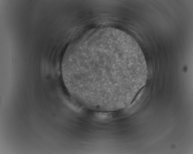 X0000094200187200711241645