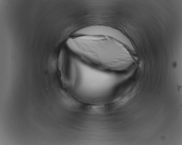 X0000094200188200711241645