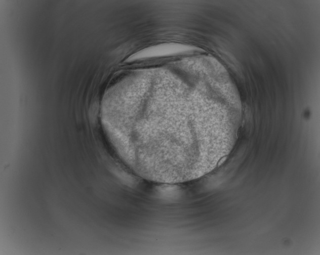X0000094200189200711241645