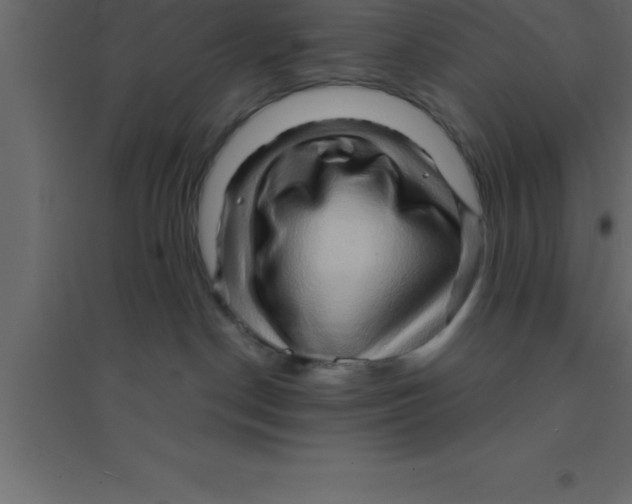 X0000094200190200711241645