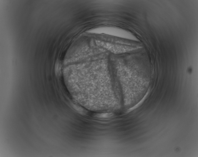 X0000094200191200711241645