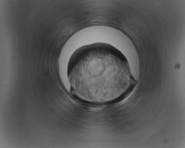 X0000094200192200711241645