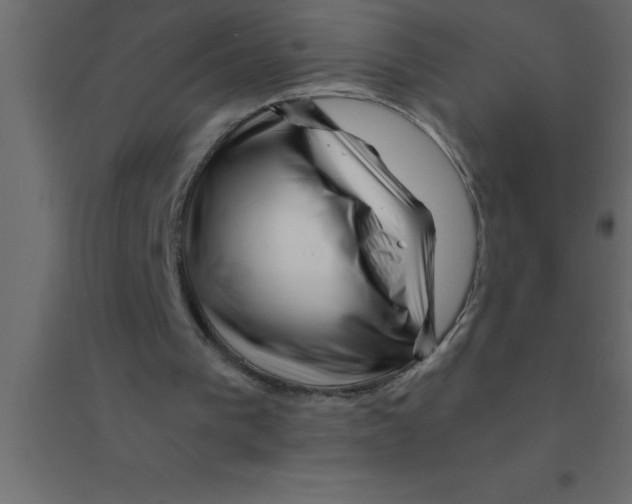 X0000094200193200711241645
