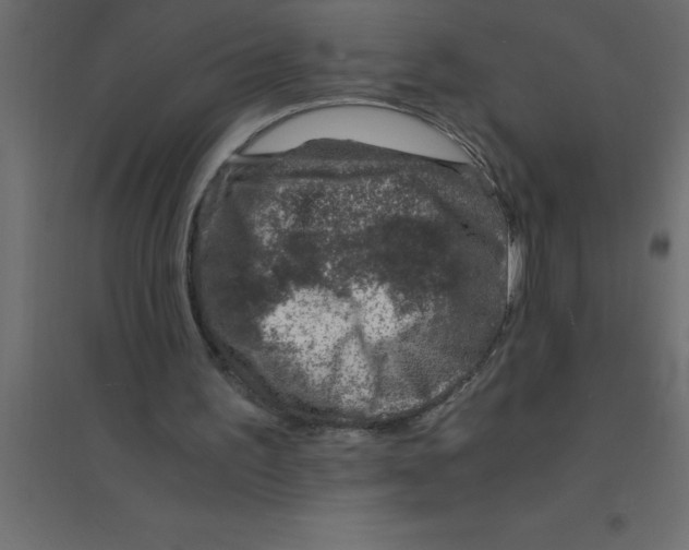 X0000094200195200711241645