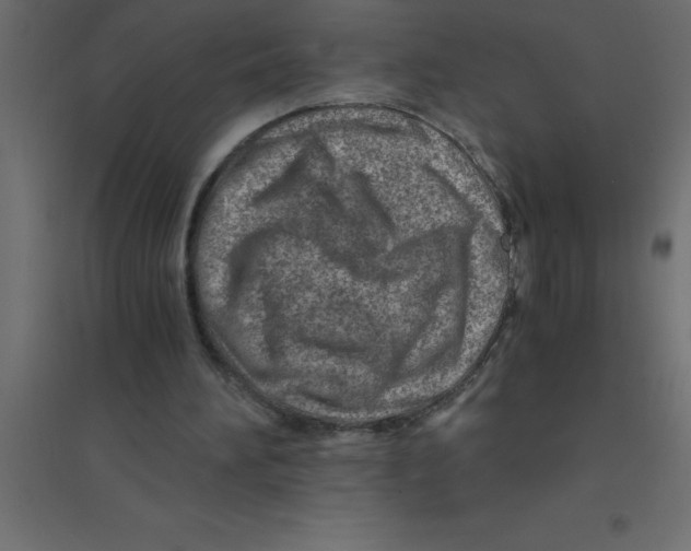 X0000094200196200711241645