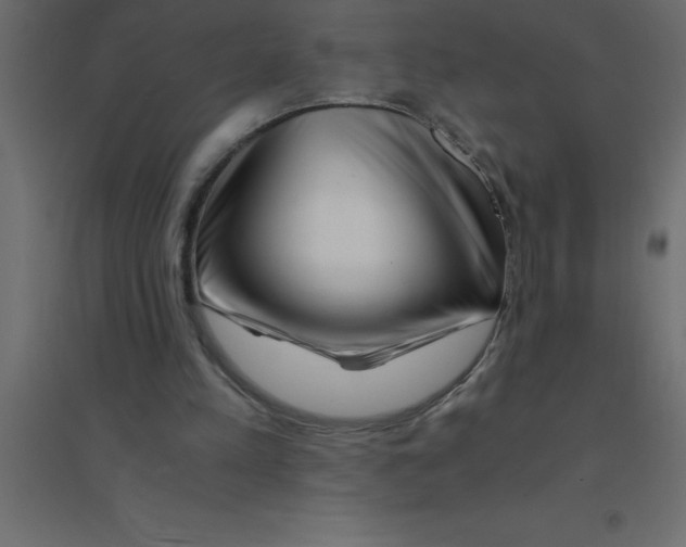 X0000094200197200711241645