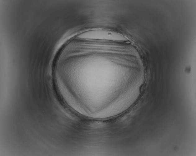 X0000094200198200711241645