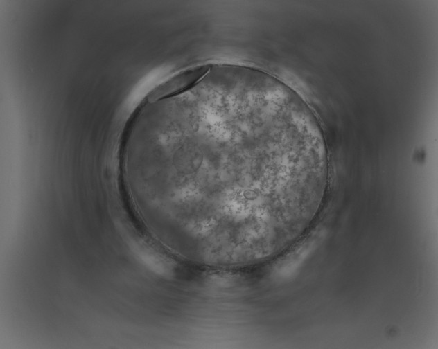 X0000094200199200711241645
