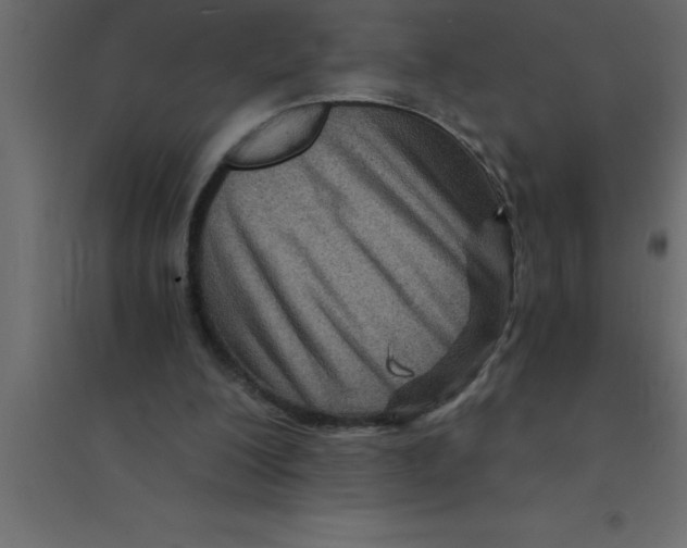 X0000094200200200711241645