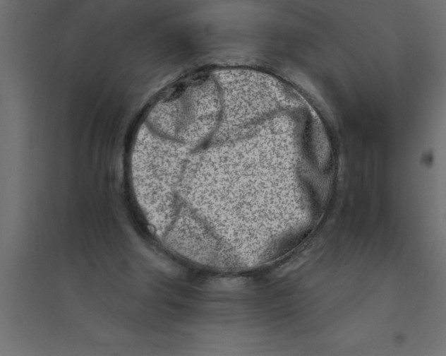 X0000094200202200711241645