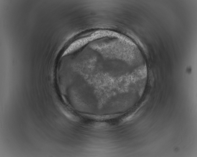 X0000094200203200711241645