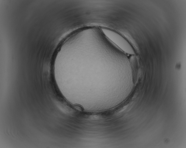 X0000094200204200711241645