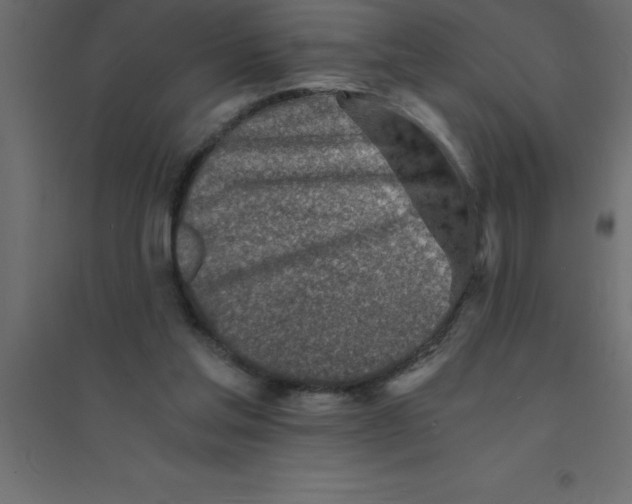 X0000094200205200711241645