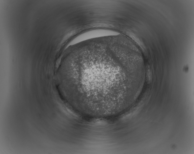 X0000094200207200711241645