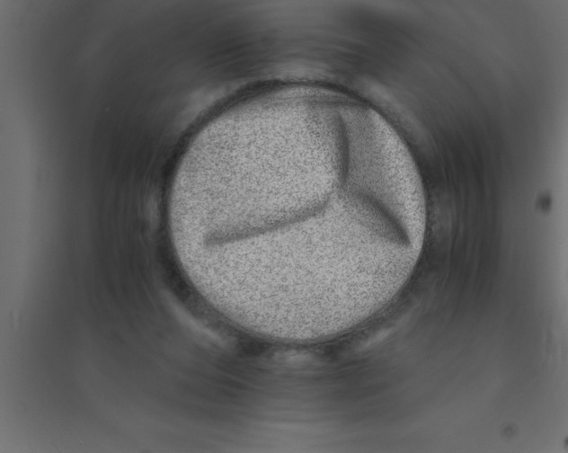 X0000094200208200711241644