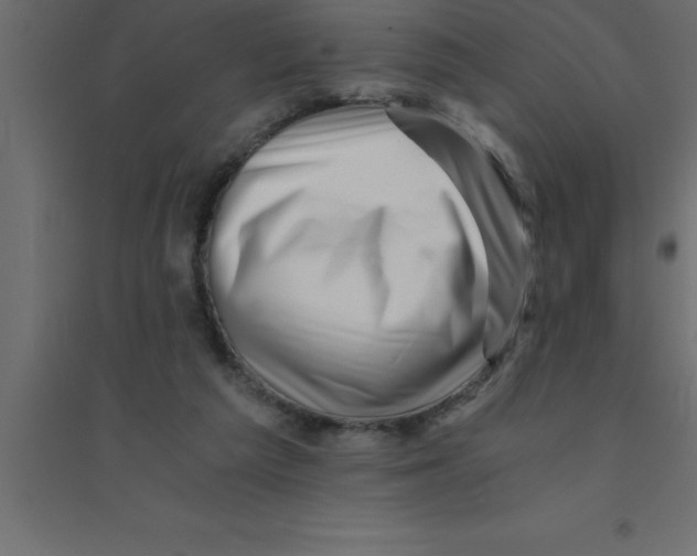 X0000094200209200711241644