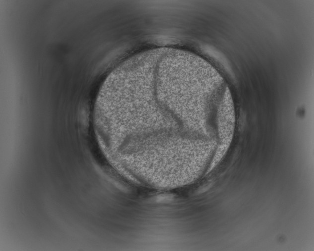X0000094200210200711241644