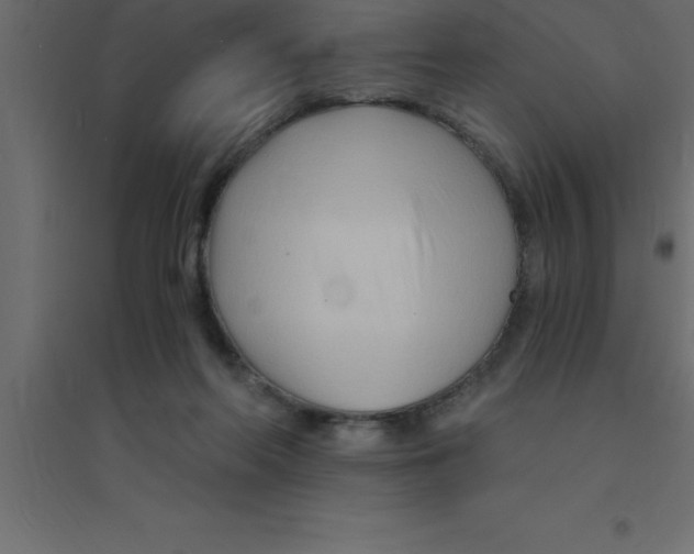 X0000094200214200711241644