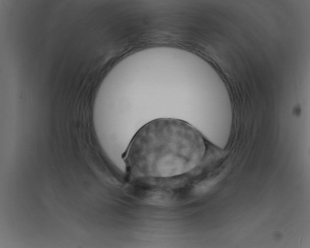 X0000094200215200711241644