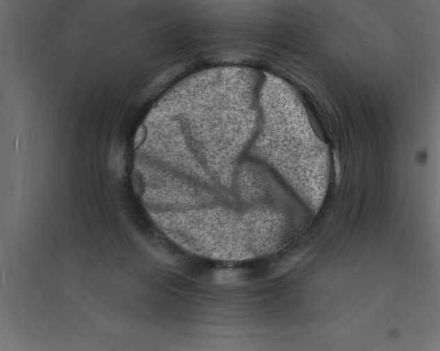 X0000094200216200711241644