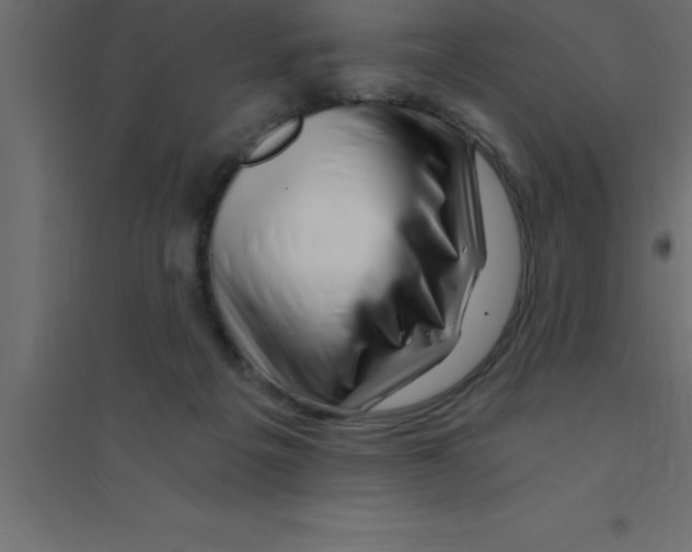 X0000094200217200711241644